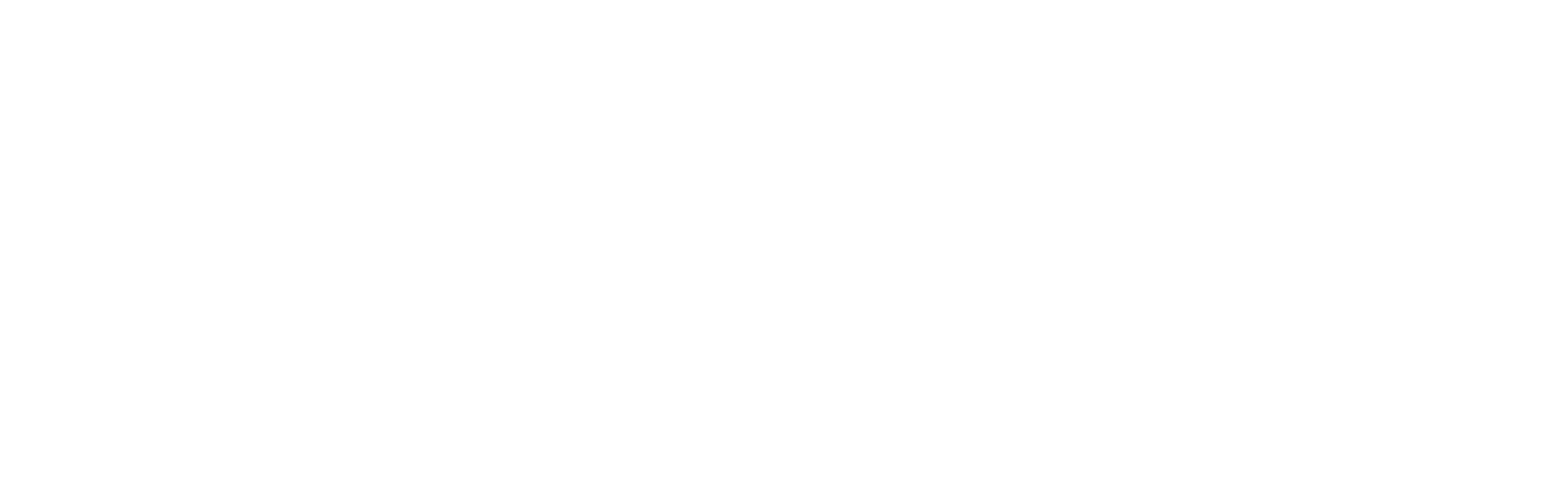 Persolvent_R_Logo_ReverseXL